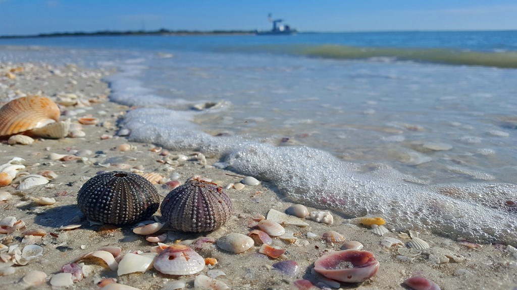 Plan a Perfect Spring Break in St. Petersburg