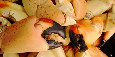 Frenchy's Stone Crab Weekend