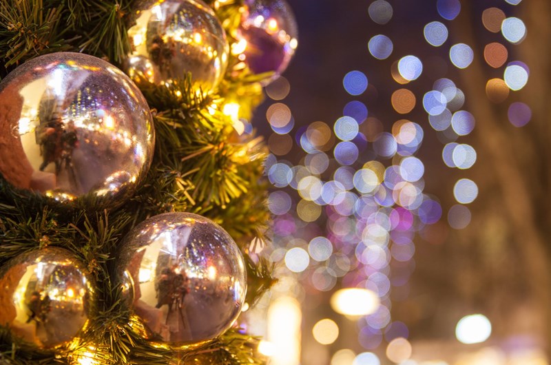 Holiday Lights in the Gardens Event at the St. Petersburg / Madeira