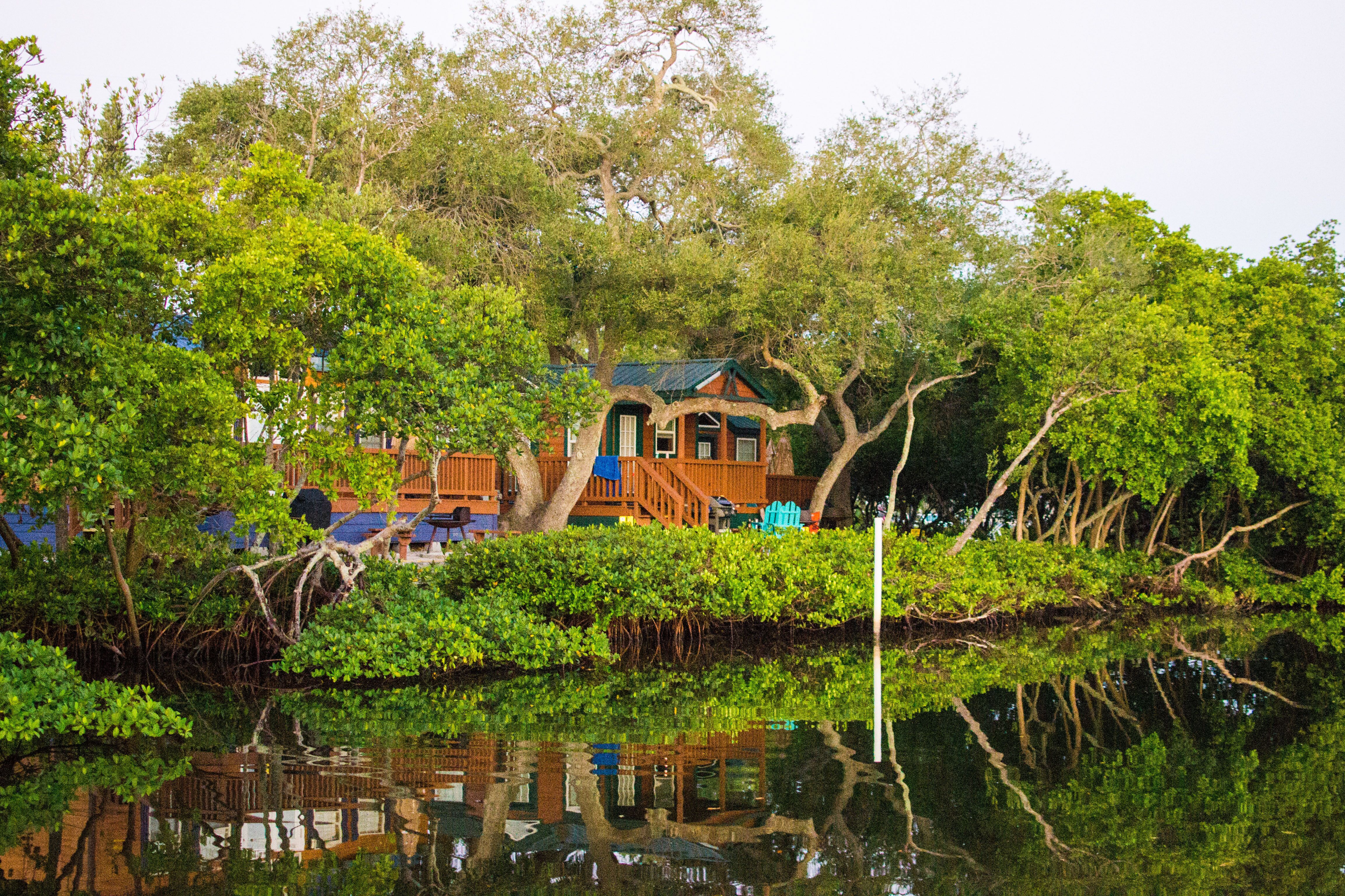 Deluxe Cabin with a view