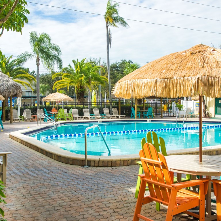 St Pete Koa