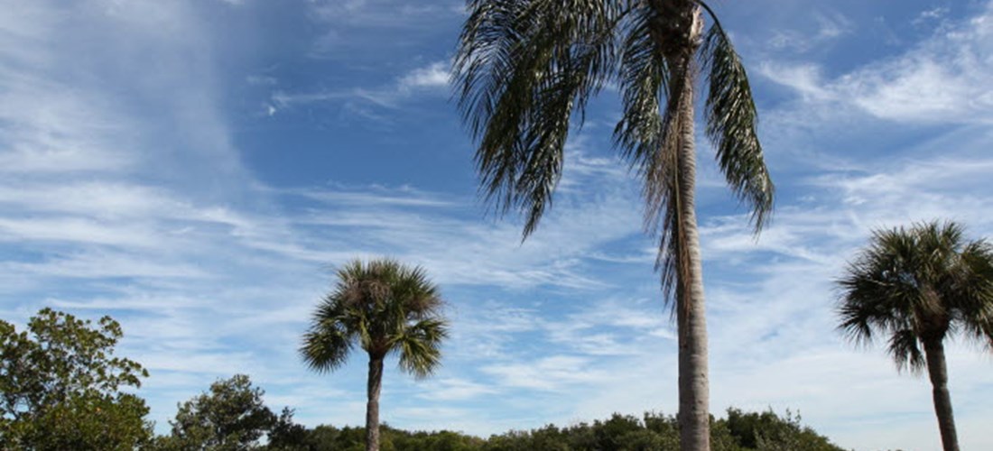 Scenic, grassy tent sites