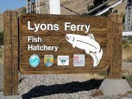 Lyons Ferry Hatchery