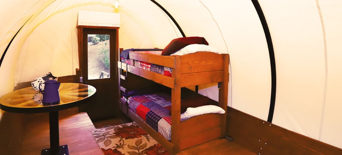 covered wagon bunk bed