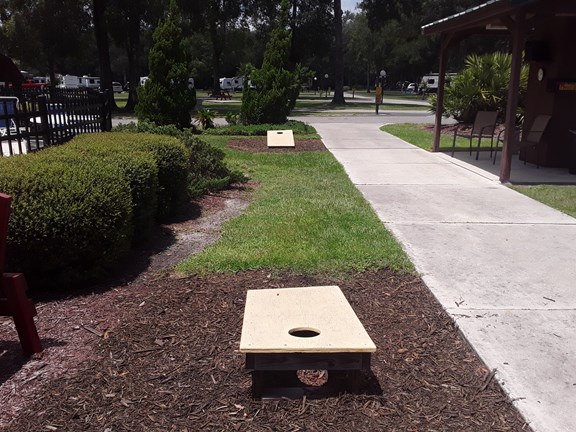 Corn Hole boards