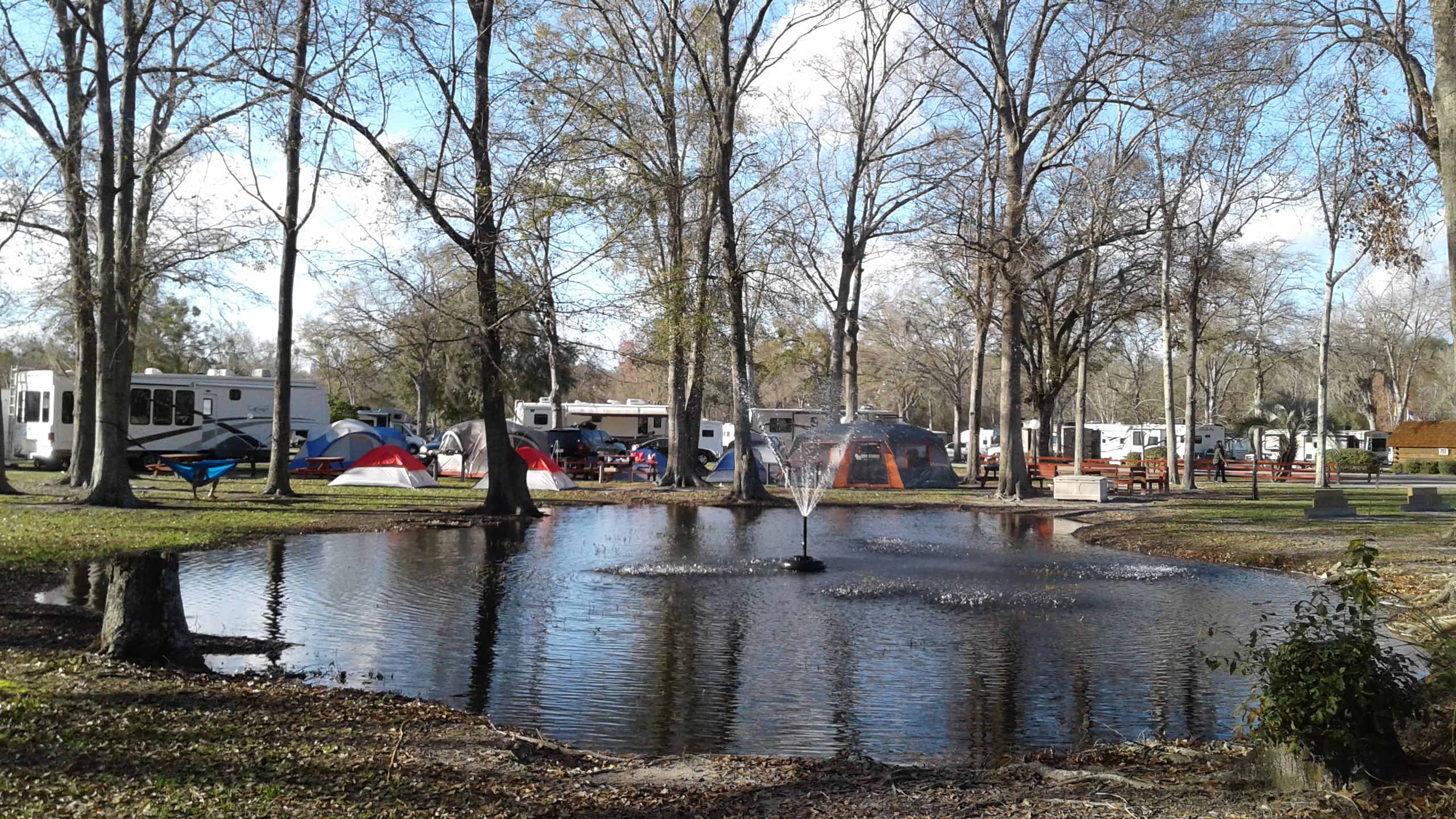 Escape to Nature's Embrace: Your Guide to Florida's Starke/Gainesville NE Campgrounds