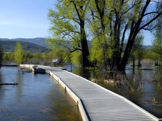 Rotary Park Boardwalk