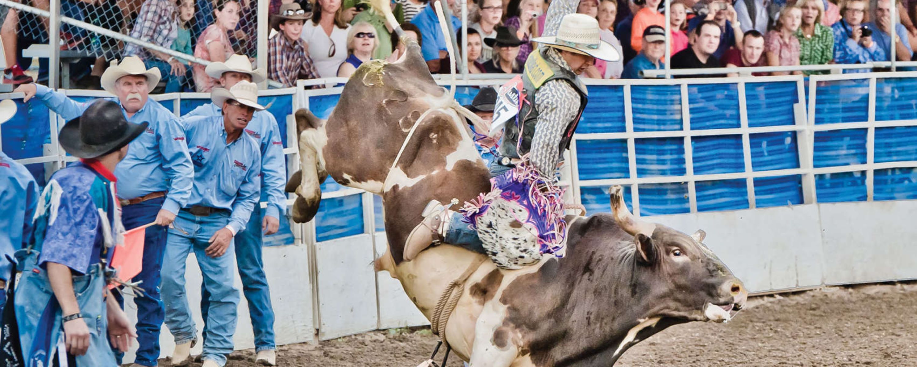 Steamboat Pro Rodeo Series Photo