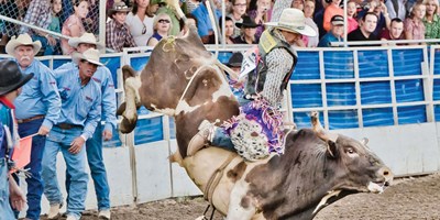 Steamboat Pro Rodeo Series
