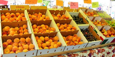 Main Street Steamboat Farmers Market
