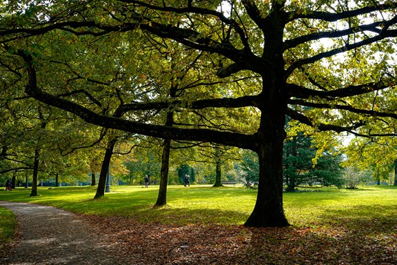 Stephenville City Park