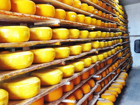 Veldhuizen Cheese