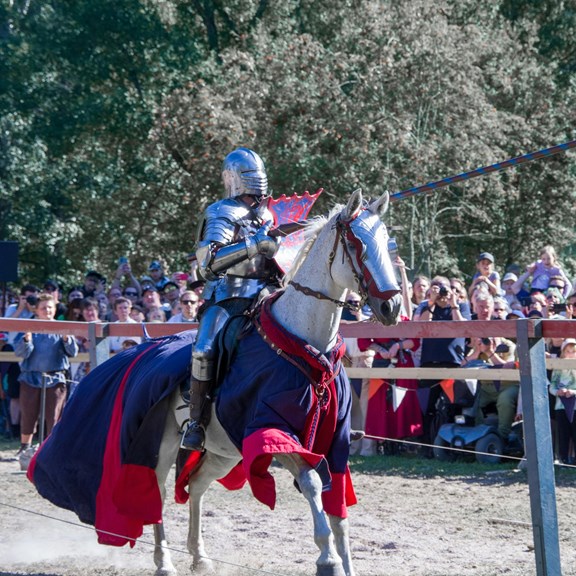 Sterling Renaissance Festival