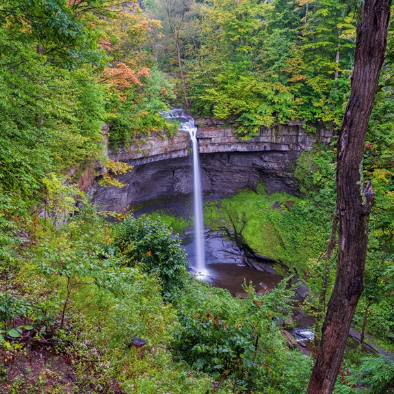 Finger Lakes