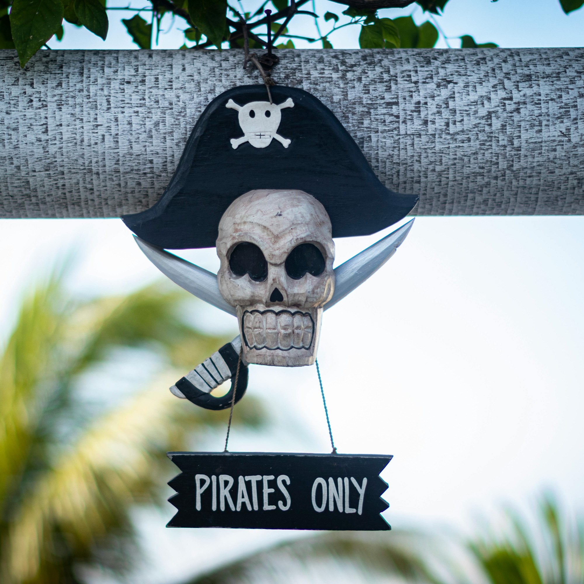 Fair Haven Pirate Fest Photo