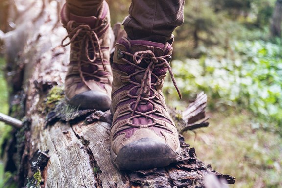 Parker Mountain Hiking