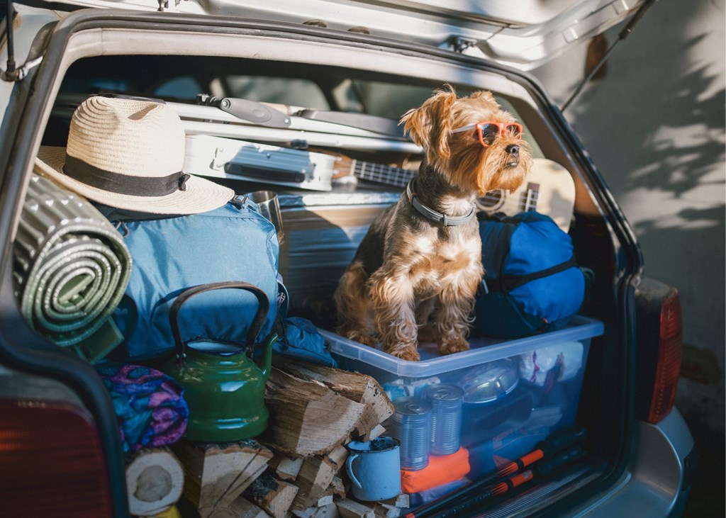 What NOT to Pack for Your Trip to Strafford KOA