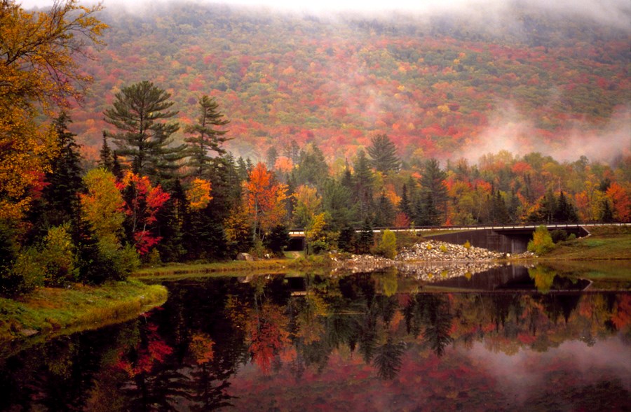 Fall Fun Near Strafford