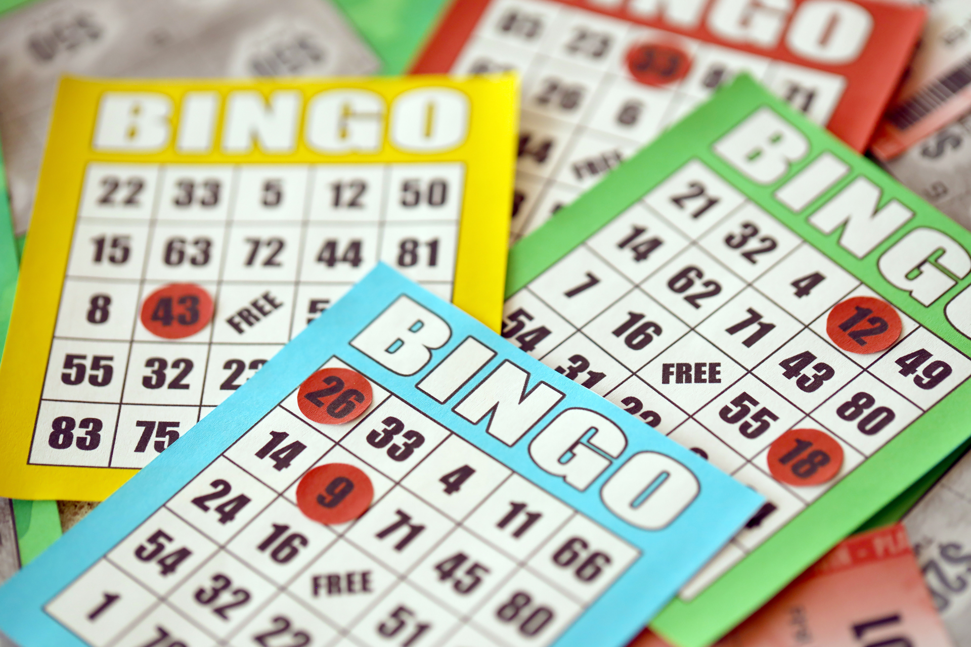 Bingo Weekend - Photo 2