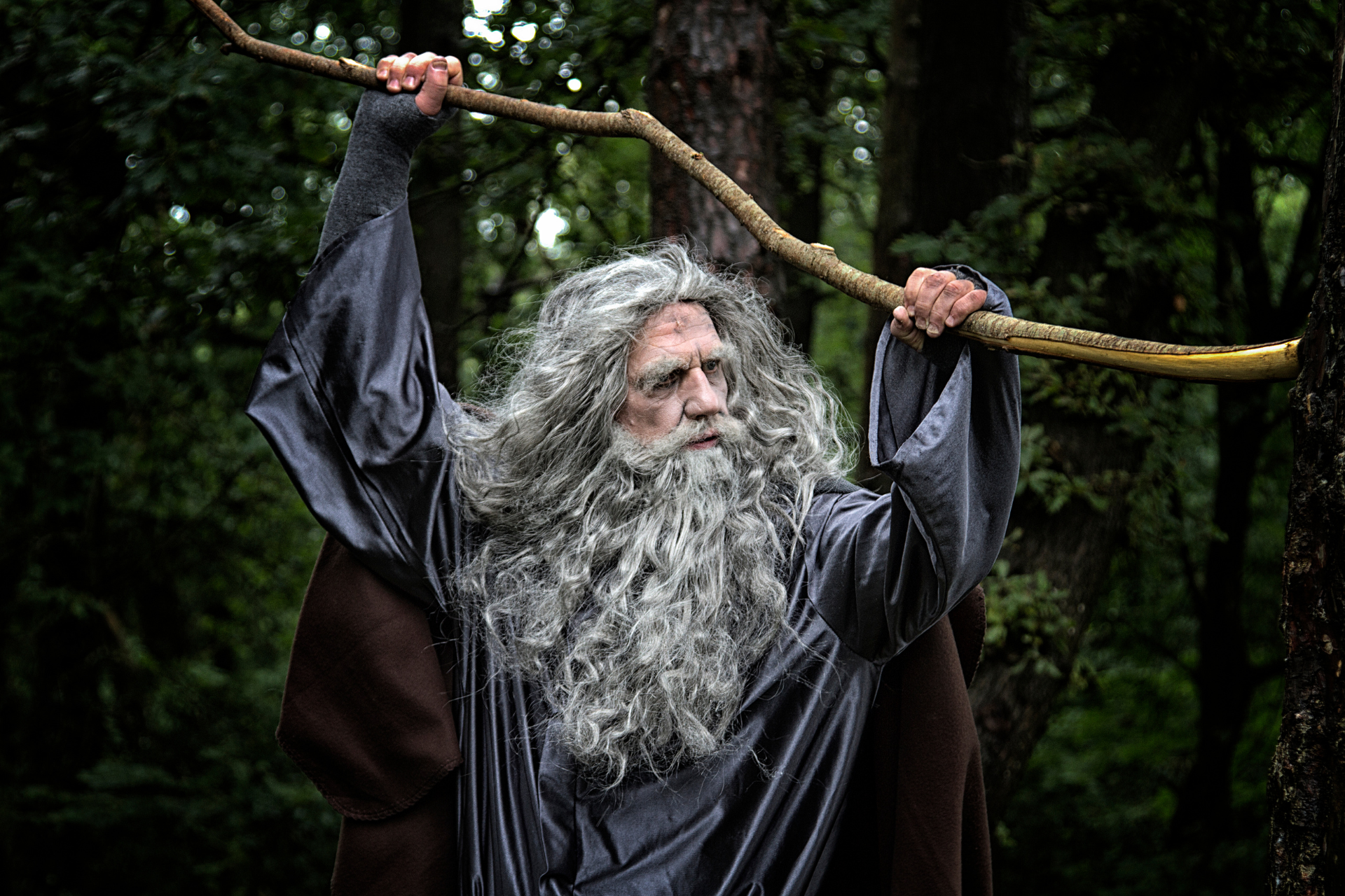 Wizard Week - Photo 2
