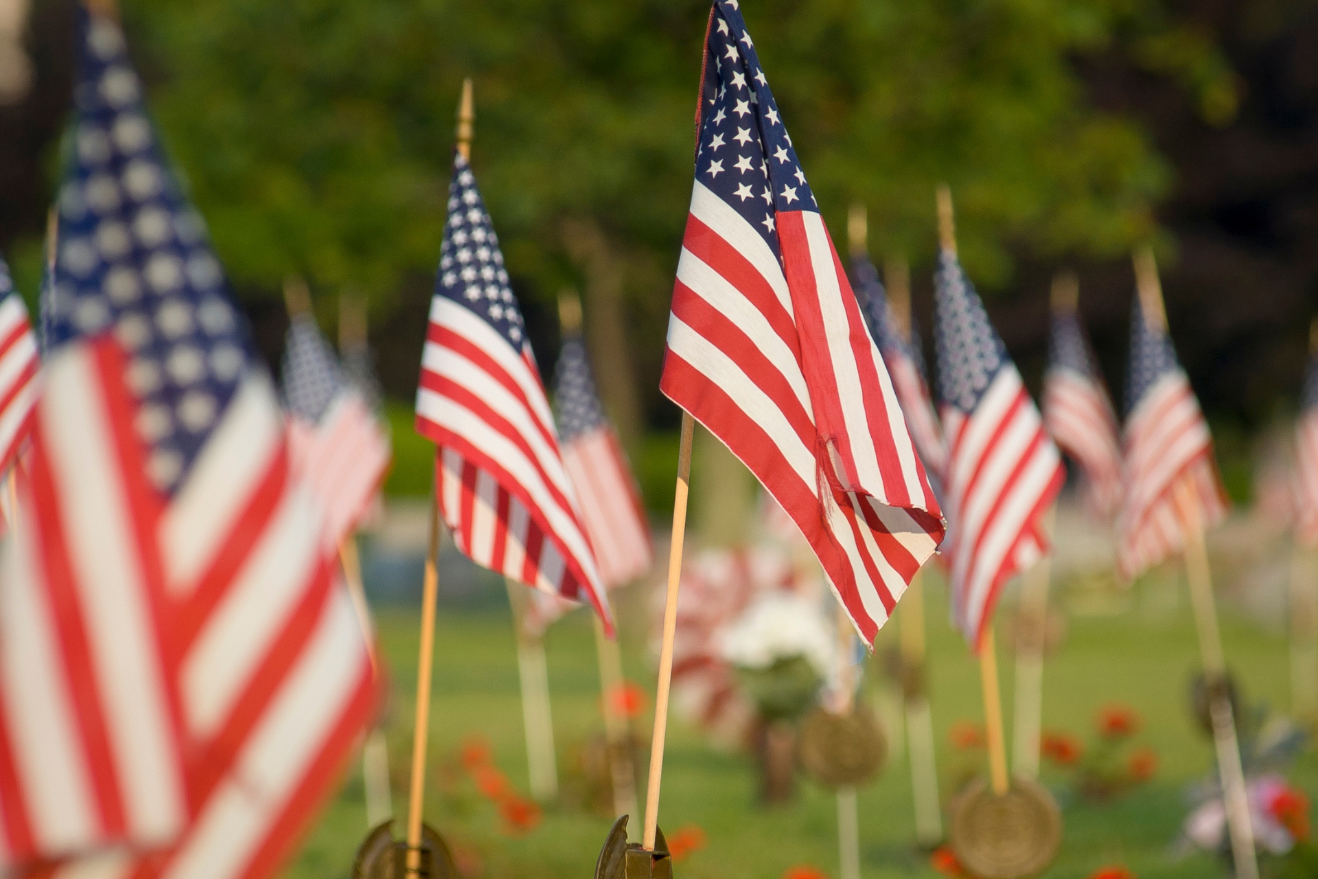 Memorial Day Weekend/Week - Photo 2