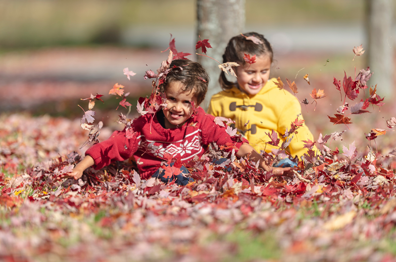 Fall Fest Weekend Photo