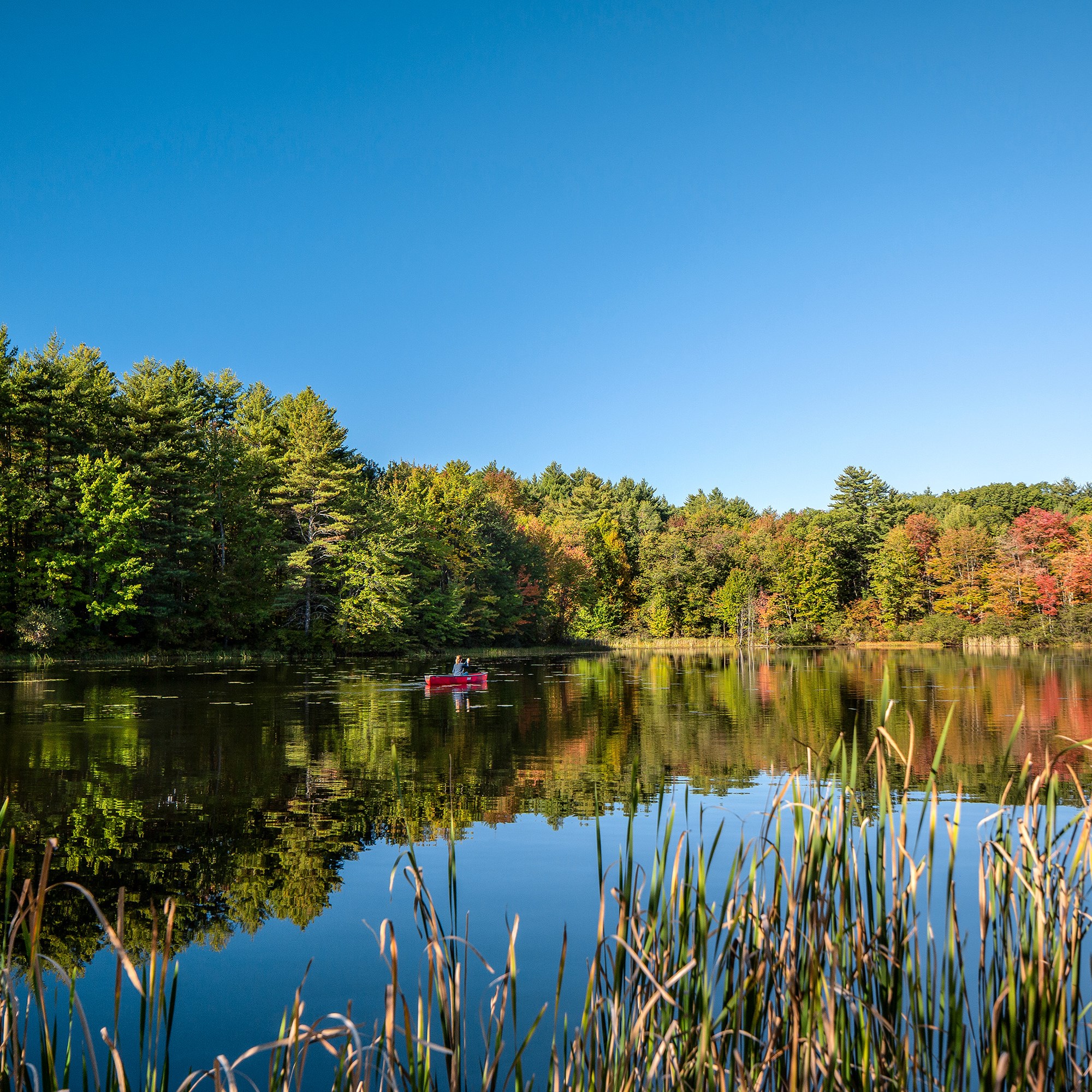 Strafford, New Hampshire Camping Photo Albums | Strafford / Lake ...