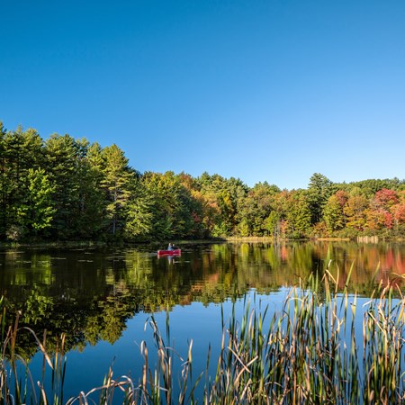 Strafford / Lake Winnipesaukee South KOA Holiday
