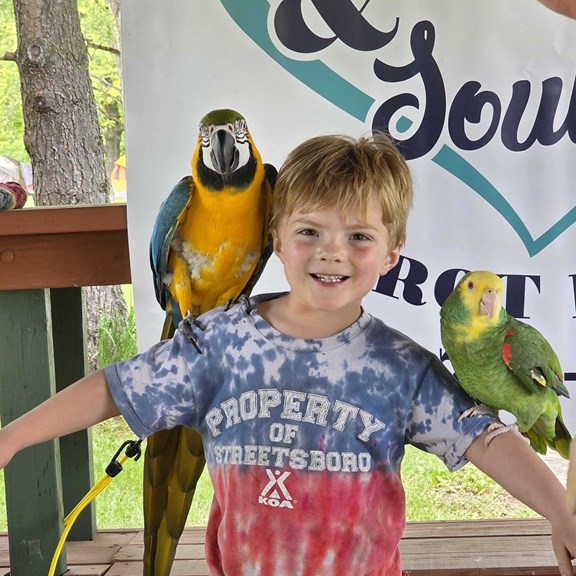 Events, Activities & Themed Weekends
