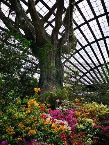 Cleveland Botanical Garden