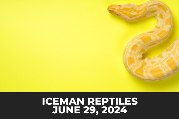 Iceman Reptiles Photo