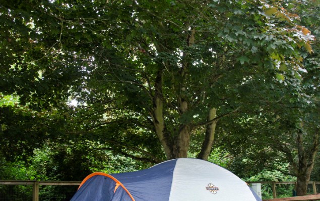 Tent Site No Hook Ups