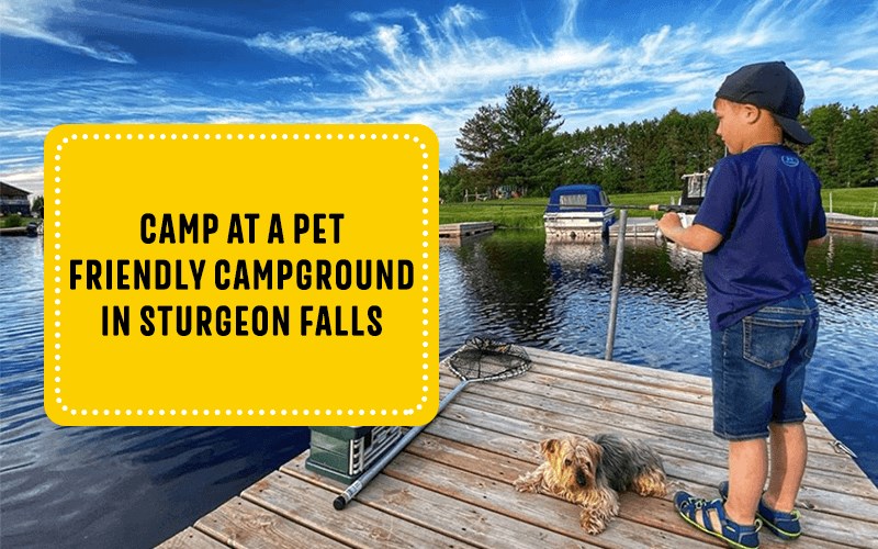 Dog friendly campground deals