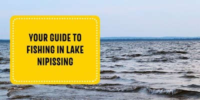 Your Guide to Fishing in Lake Nipissing
