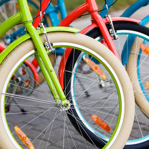Bike Rentals