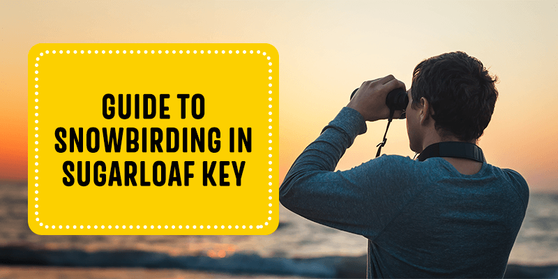 Guide to Snowbirding in Sugarloaf Key