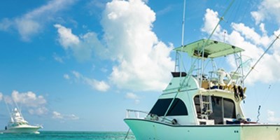 Seasonal Guide to Fishing in Sugarloaf Key, FL