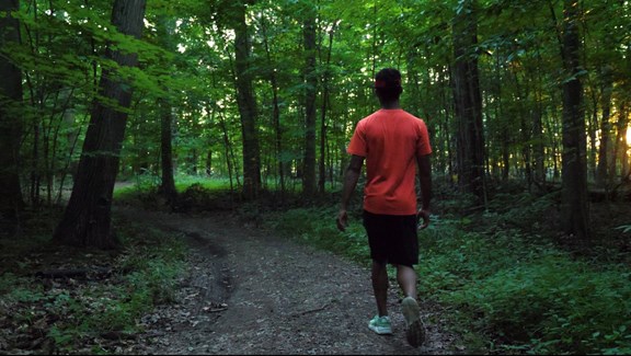 HIKING TRAILS