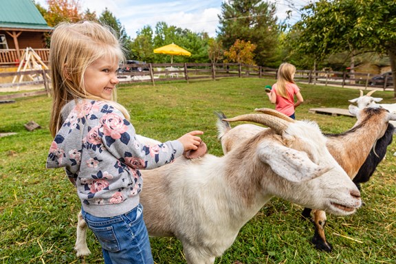 PETTING ZOO