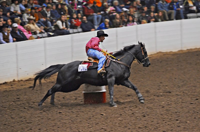 All American Quarter Horse Congress Event at the Sunbury / Columbus