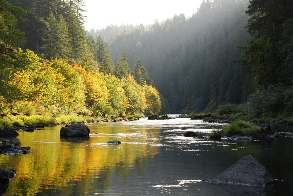 Oregon's Umpqua Valley: The Ultimate 3&5 Day Itineraries