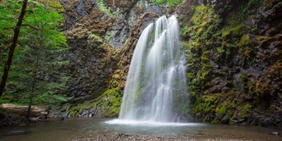 Why RV Travelers Are Falling in Love With Umpqua Valley