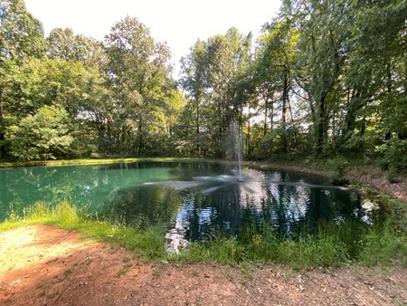 Sweetwater KOA Holiday