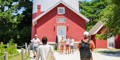 Assateague Island Day Trip: What to Know Before You Go