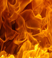 Tall Pines Harbor Campground