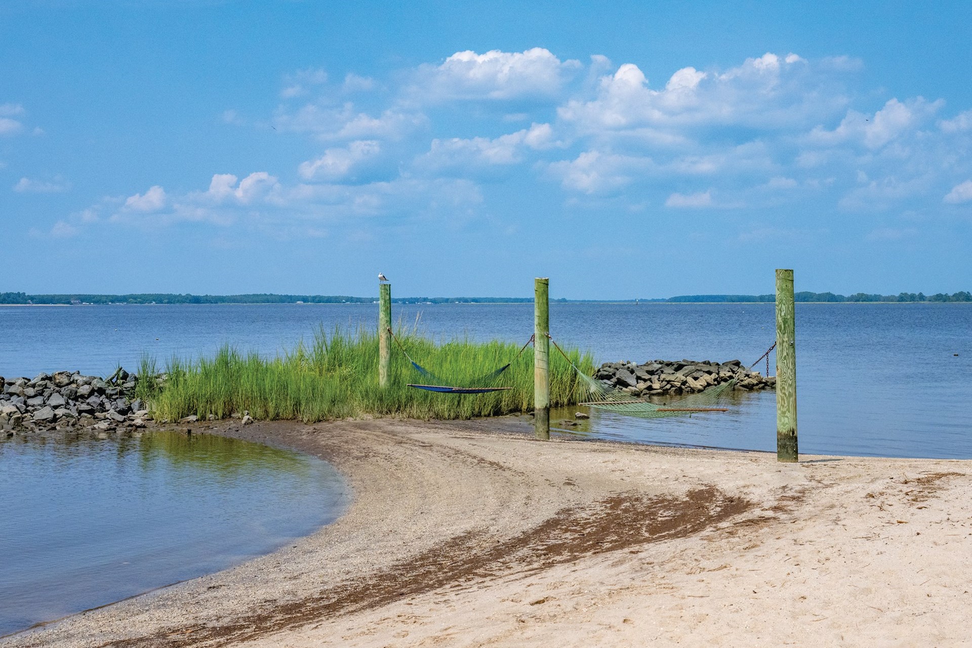 Tall Pines Harbor Campground