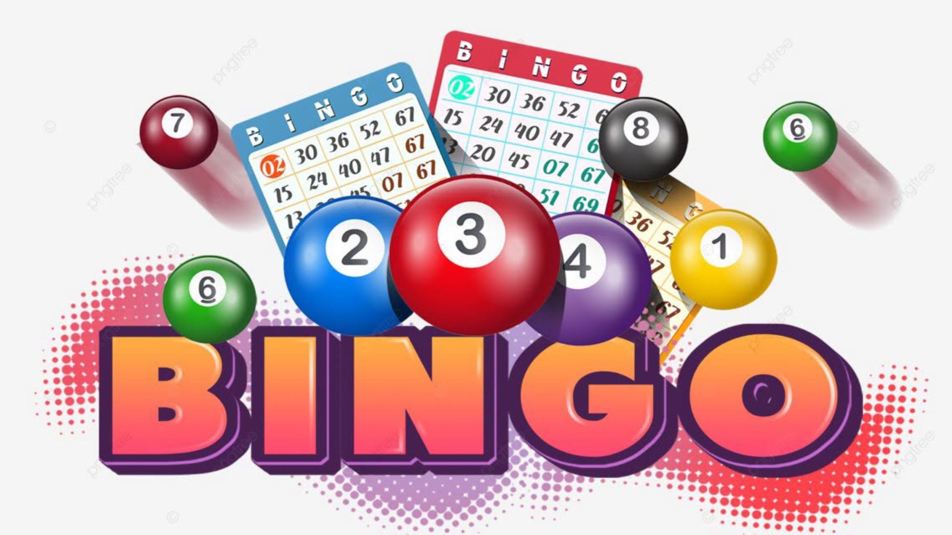 Bingo with Stephanie Croft Photo