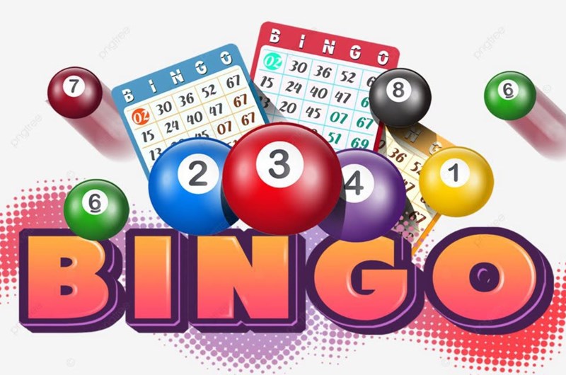 Bingo with Stephanie Croft Photo