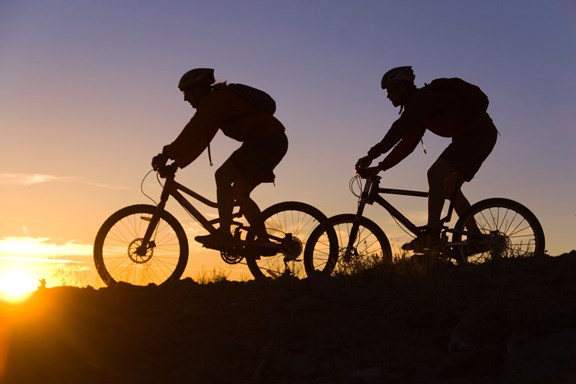 Mountain Biking Trails: Vailocity Bike Park