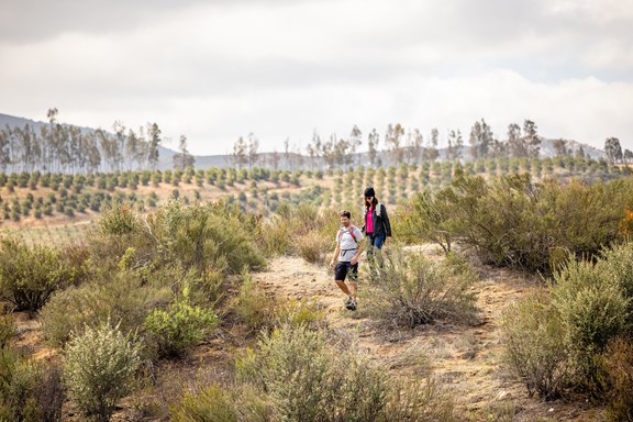 Hiking Trails